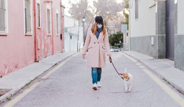 réglementation promenade chien reconfinement covid19