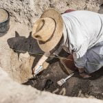 reste de chien âgé de 8400 ans