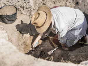 reste de chien âgé de 8400 ans