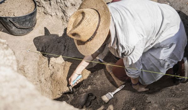 reste de chien âgé de 8400 ans