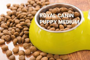 Royal Canin Puppy Medium