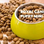 Croquettes Royal Canin Puppy Mini