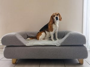 Lit pour chien Topology Omlet