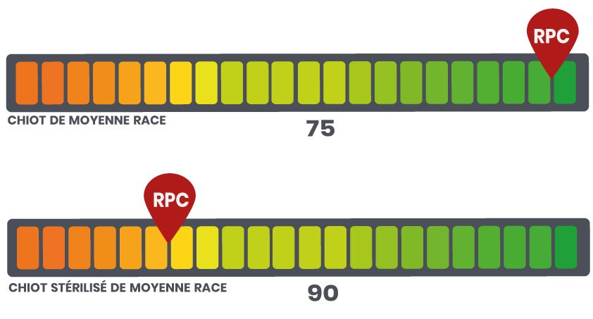 RPC Royal Canin Puppy Medium