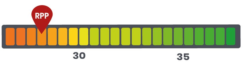 RPC royal canin Puppy Maxi