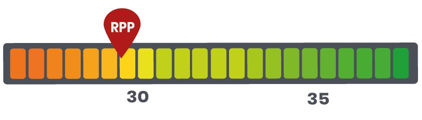 RPP royal canin puppy medium