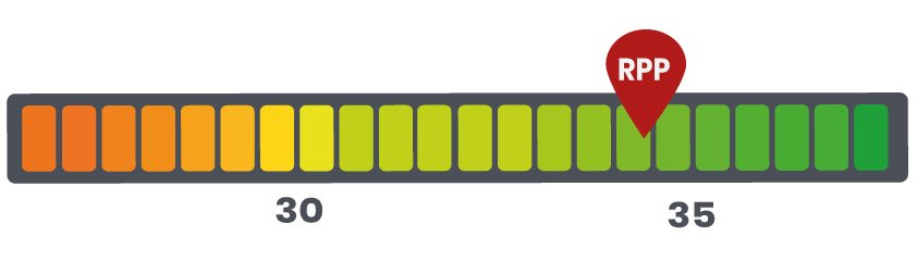 rpp royal canin puppy mini