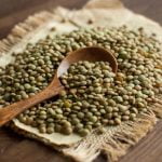 lentilles pour chien