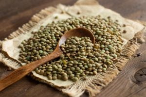 lentilles pour chien