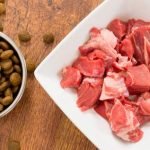 mélange croquette et et viande crue