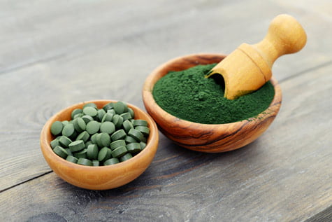 De la spiruline pour chien
