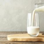 lait pour chien adulte