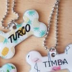 nom de chien en T 2022