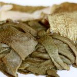 panse verte pour chien