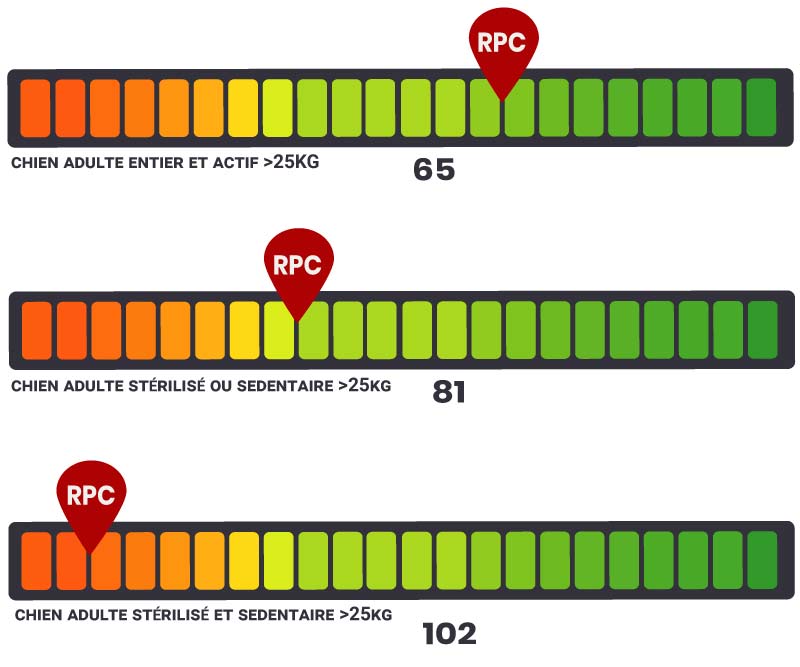 RPC royal canin maxi adult
