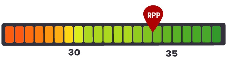 rpp royal canin puppy giant