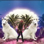 clip Waf Julien Doré