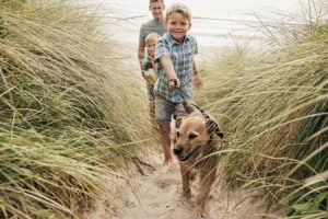 emmener son chien en vacances