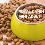Croquettes Royal Canin Mini Adult