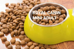 Croquettes Royal Canin Mini Adult