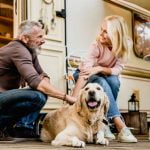 5 conseils pour des vacances avec son chien