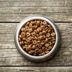 mycotoxines dans les croquettes pour chien