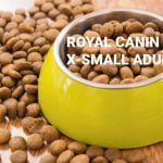 croquettes chien royal canin X small