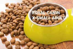 croquettes chien royal canin X small