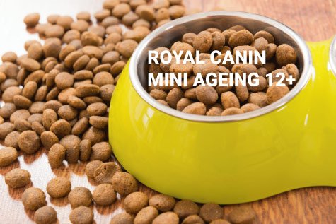 Croquettes chien Royal Canin Mini Ageing 12+ : avis, dosage 