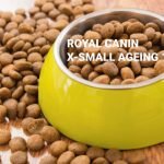 croquettes royal canin X Small Ageing 12+