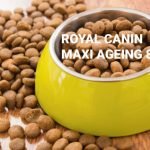 croquettes royal canin maxi ageing 8+