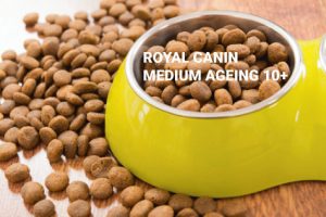 Royal Canin medium Ageing 10
