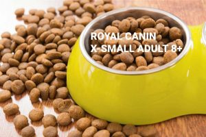 Royal canin x small adult 8+