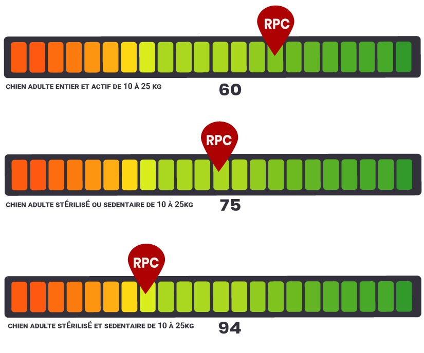 rpc royal canin medium ageing 10+