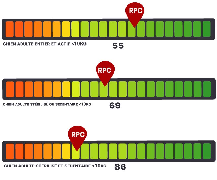 RPC Royal canin X small adult 8+