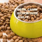 Croquettes royal canin bichon frisé adulte