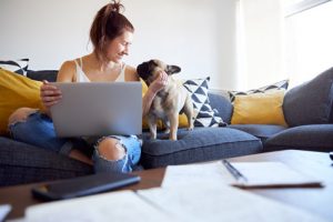 16 chiens d'appartement