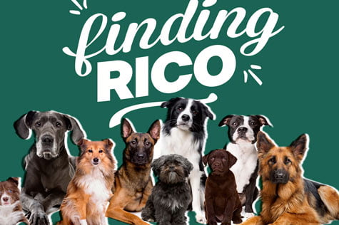 Finding Rico