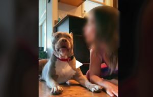 vidéo dangereuse Tik Tok