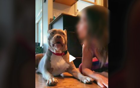 vidéo dangereuse Tik Tok