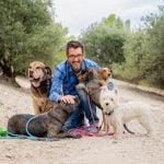 règlementation du pet sitting