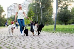 tarif d'un pet-sitter