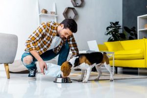 trouver un pet sitter