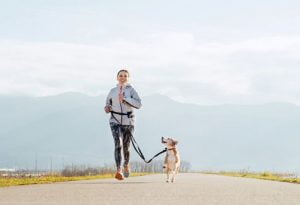emmener son chien courir sans danger