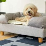 lit Bolster pour chien