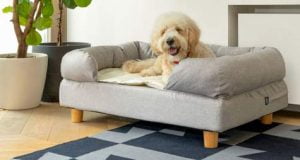 lit Bolster pour chien