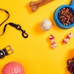 accessoires nécessaires quand on adopte un chien