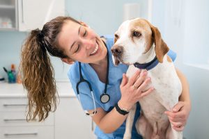 utilité d'assurance son chien