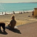 nice meilleure ville 2022 pour les chiens