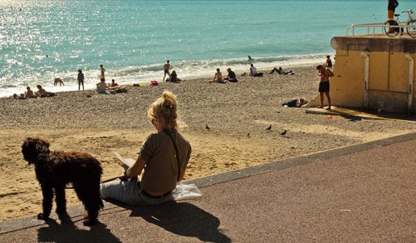 nice meilleure ville 2022 pour les chiens